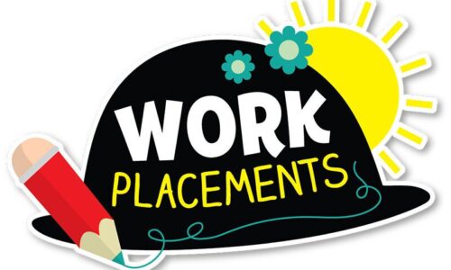 Why you should take Work Placement along with your course?