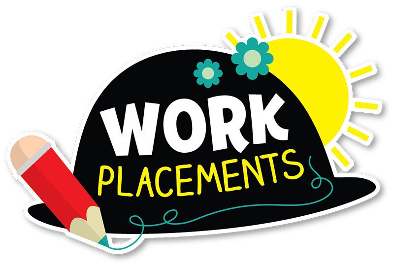 You are currently viewing Why you should take Work Placement along with your course?